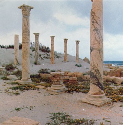 Excavations in the dunes by Roman